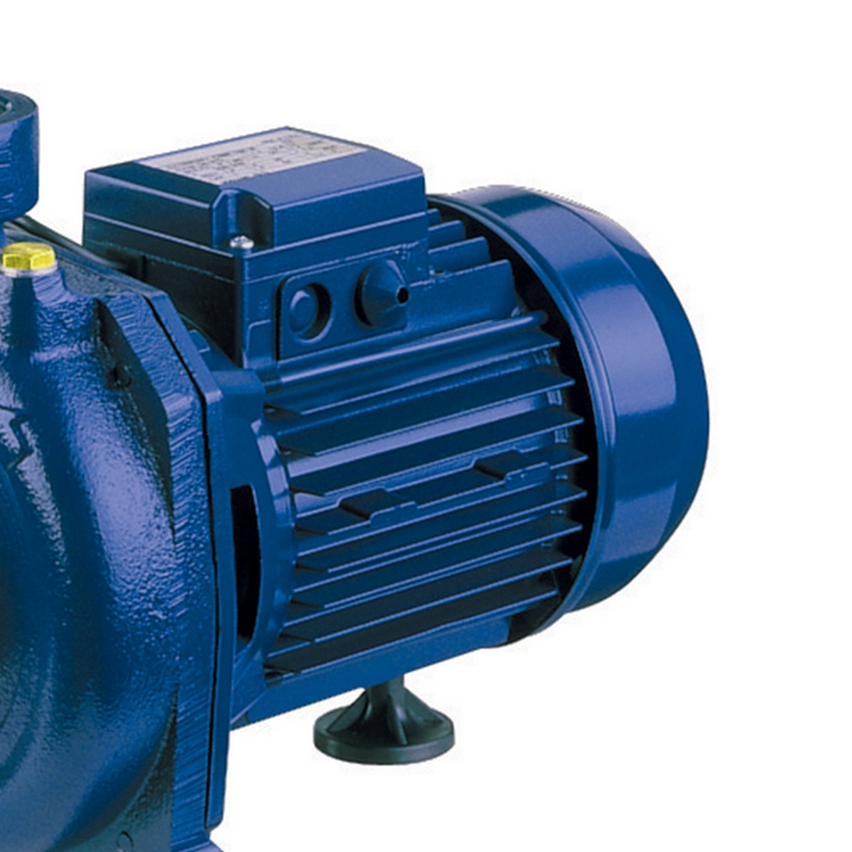 CMR/E 1.00M (IE2)หอยโข่งใบพัดเดี่ยว(1PH)