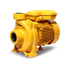 ACM-755S ปั๊มหอยโข่ง 1HP 1เฟส