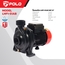 LHF1-51AB ปั๊มหอยโข่ง 1HP 1-1/2"