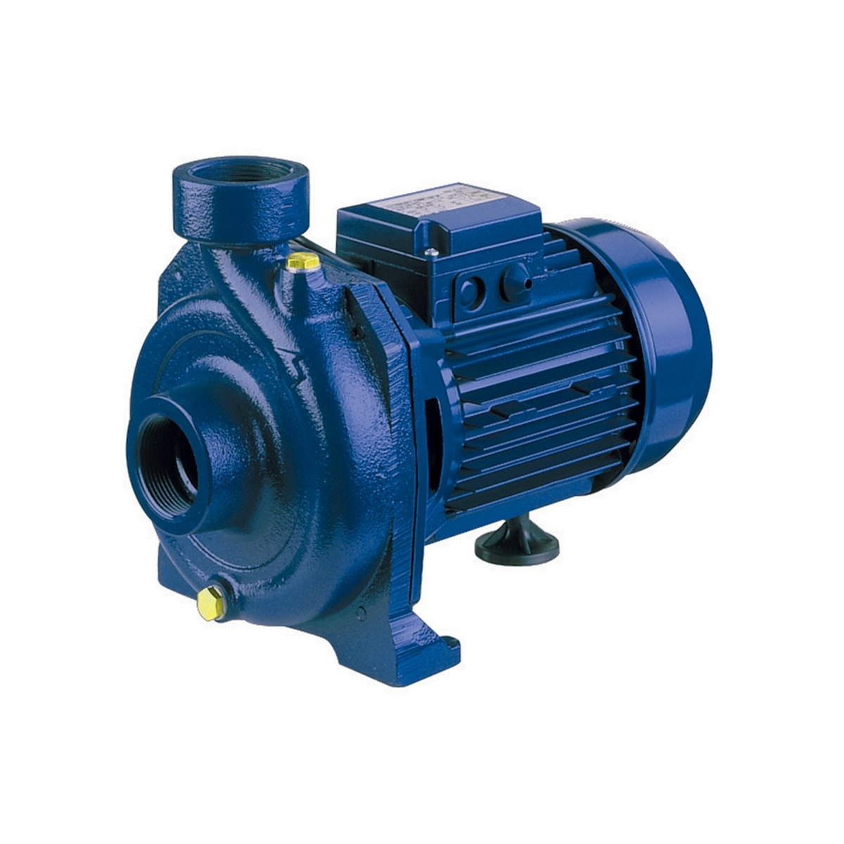CMR/E 1.00M (IE2)หอยโข่งใบพัดเดี่ยว(1PH)