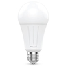 หลอด LED BULB E27-9W-WW-3000K GQ SERIES
