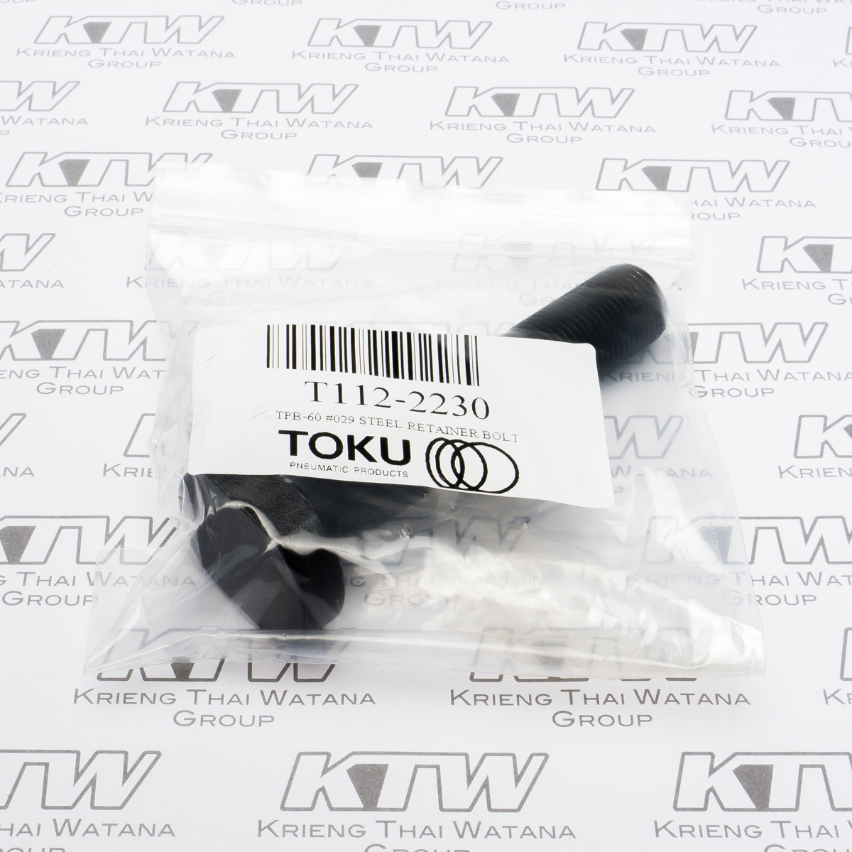 TPB-60 #029 STEEL RETAINER BOLT