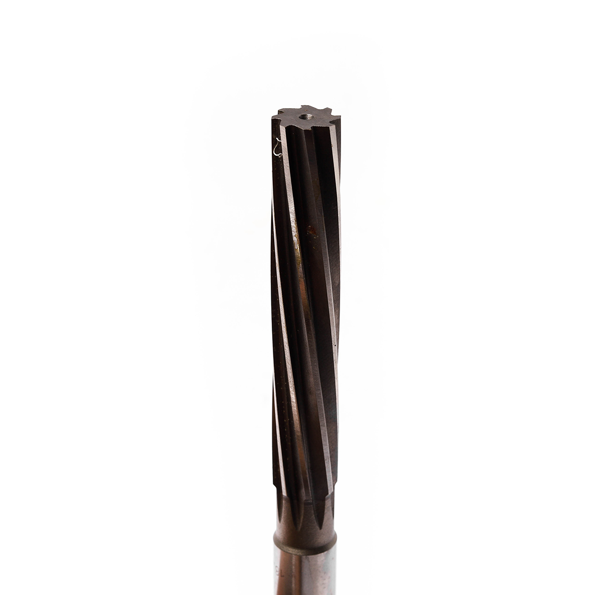 SPHR_18.5MM ดอกริมเมอร์