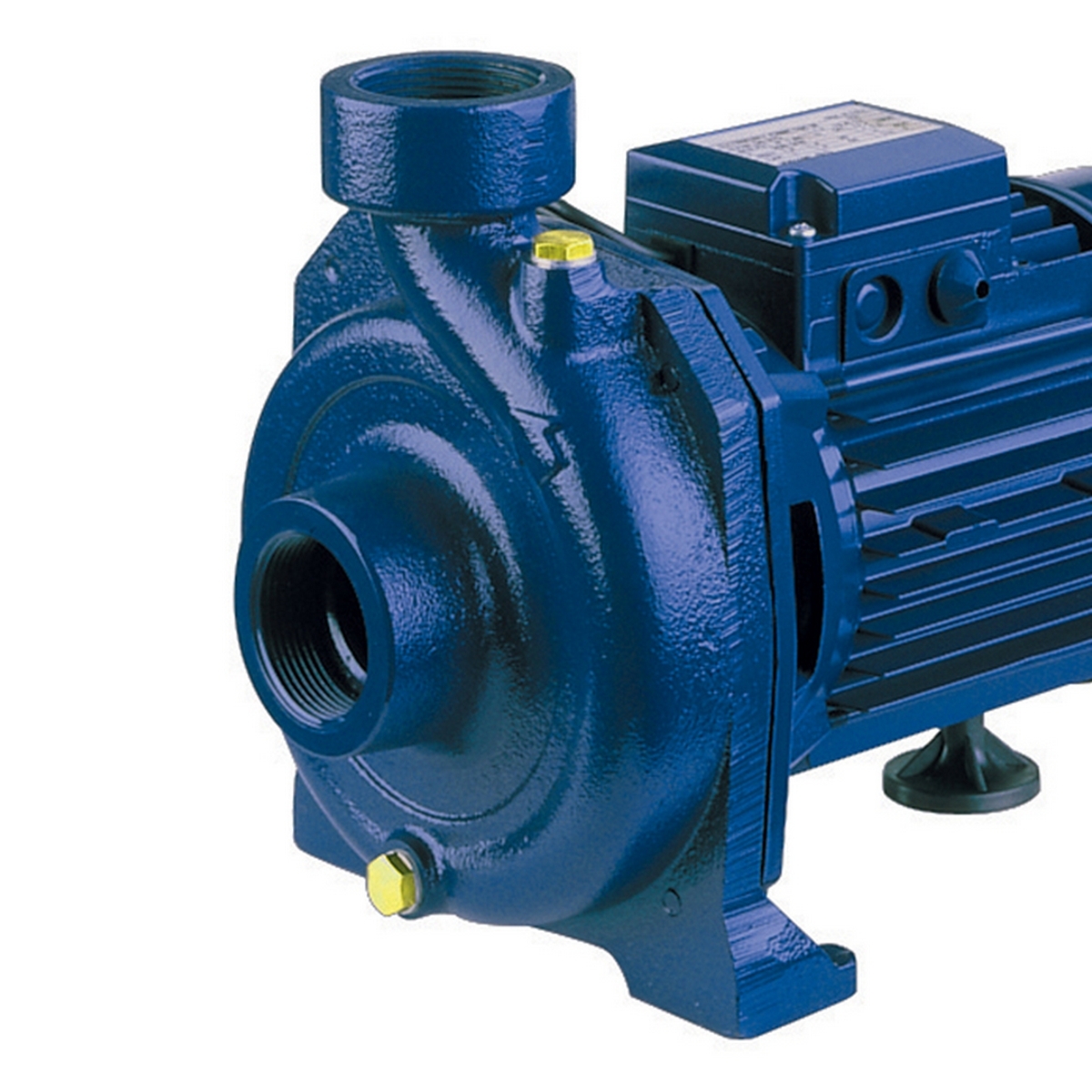 CMR/E 1.00M (IE2)หอยโข่งใบพัดเดี่ยว(1PH)