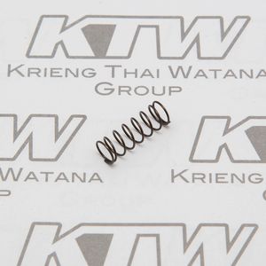 TB-00G #005 THROTTLE VALVE SPRING
