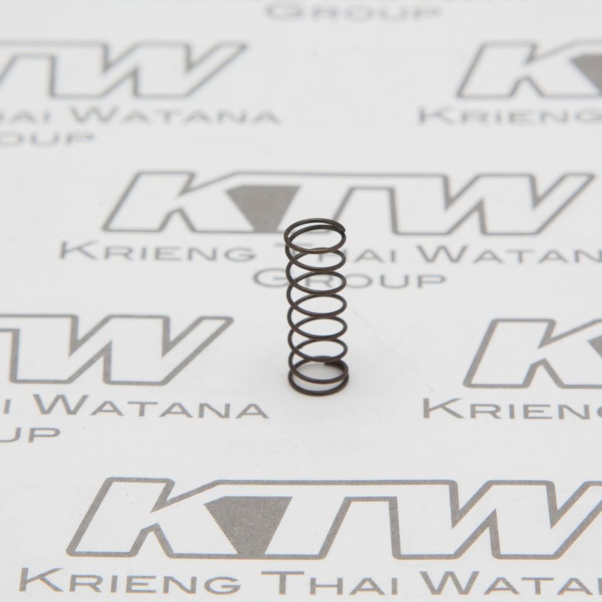 TB-00G #005 THROTTLE VALVE SPRING