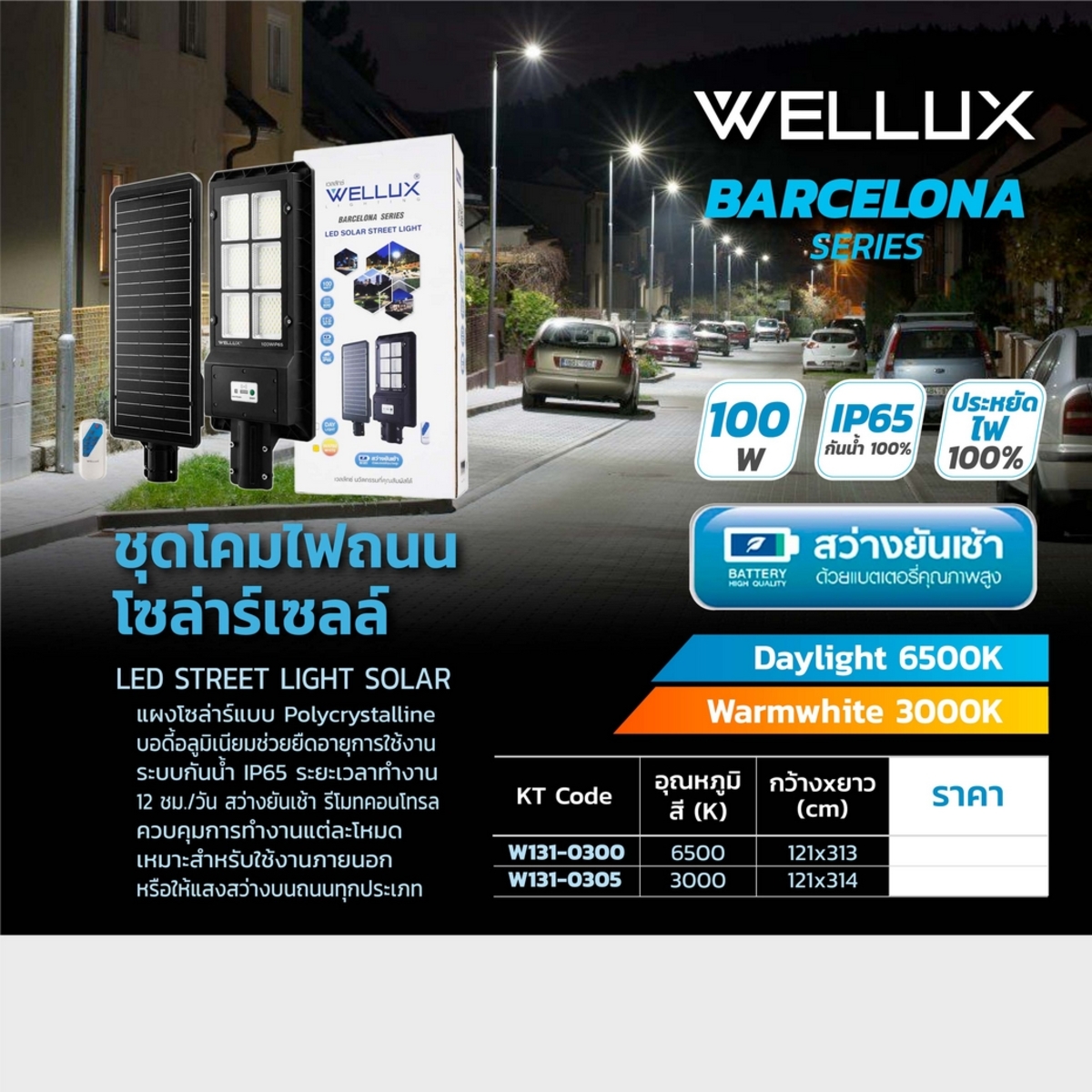 ชุดโคมถนนโซล่าร์+ขา BCN 100W 6500K DL