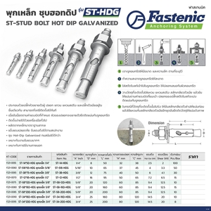 ST-14*50-HDG พุกเหล็ก 1/4"