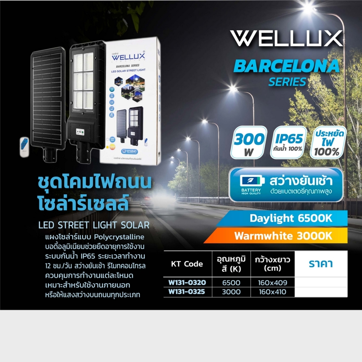 ชุดโคมถนนโซล่าร์ +ขา BCN 300W 6500K DL